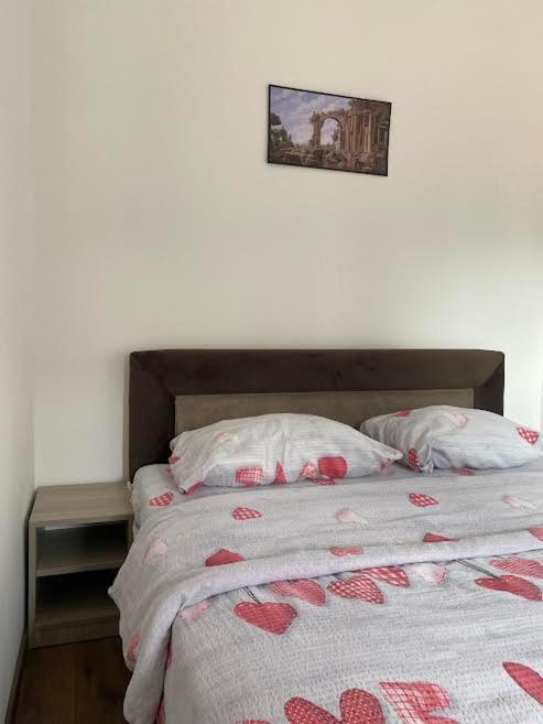 Dom Apartmani كراغوييفاك المظهر الخارجي الصورة